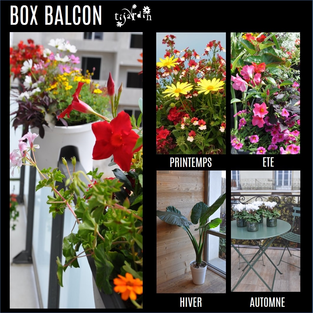 Box tijardin 4 saisons Balcon